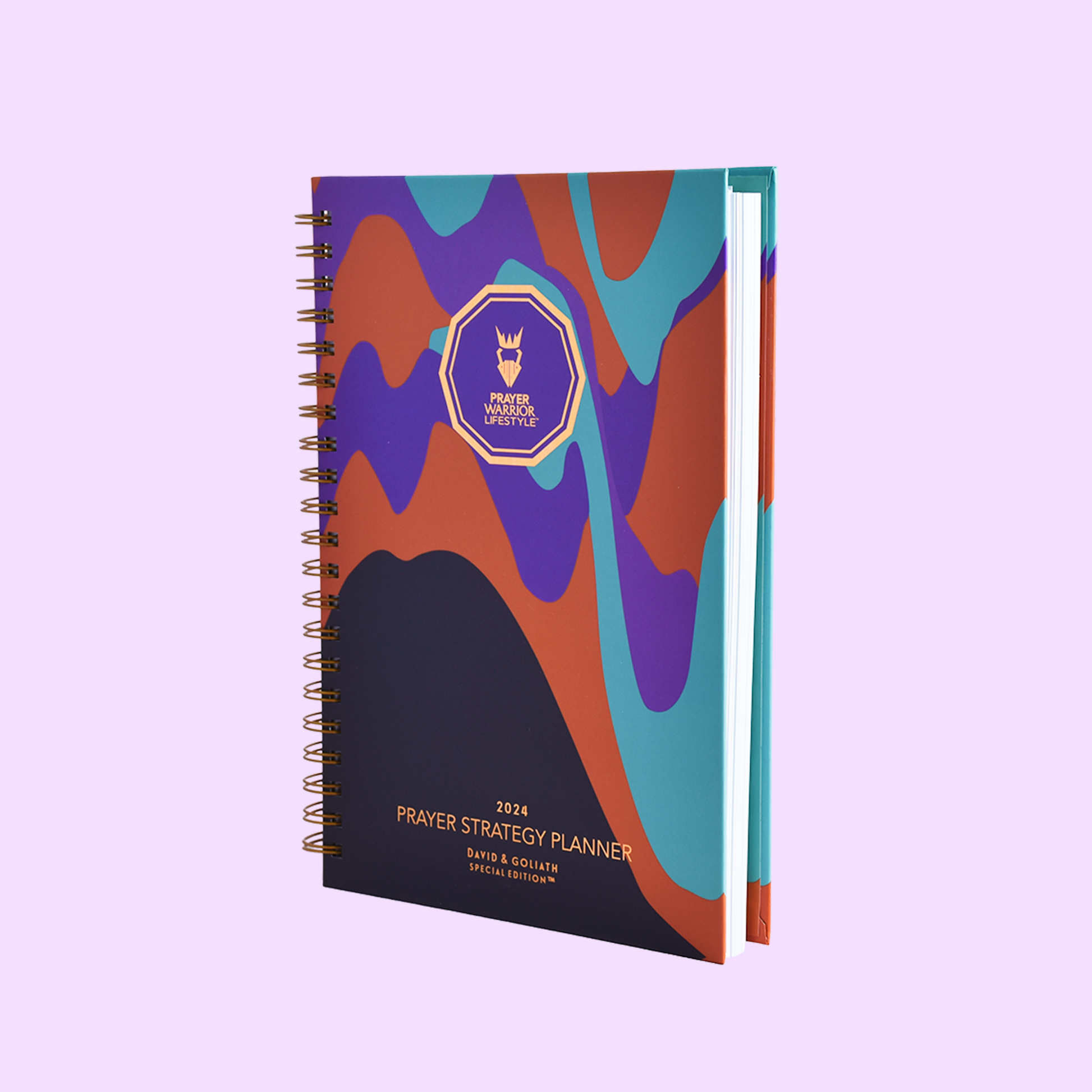 Copper Spiral Prayer Strategy Planner-Bold Valley & Peaks IMG