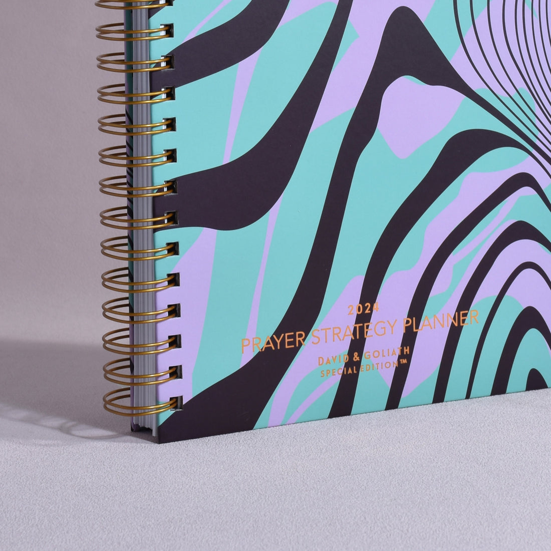 Prayer Strategy Planner Inside Cover view img